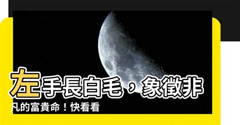 左手長白毛|【左手 長白毛】左手長出白毛！一生富貴還是暗藏玄機？